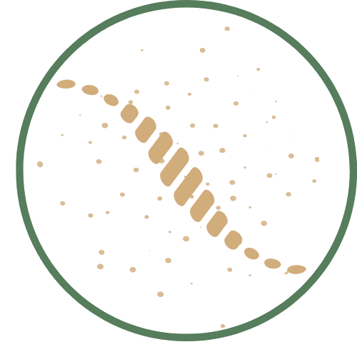 Praxis Goussanou Logo